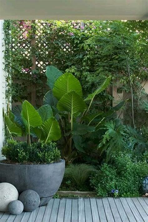 small tropical garden 40 Small Courtyard Design with Some House Plants ...