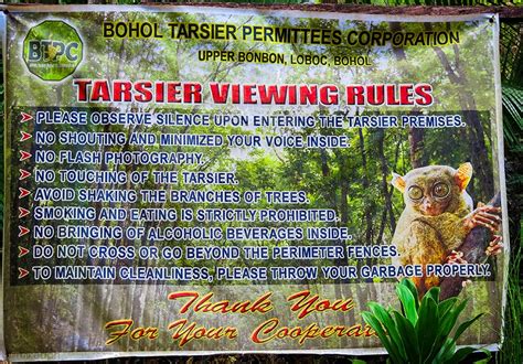 Experience Bohol: Tarsier Conservation Area | Miked's Travel PH