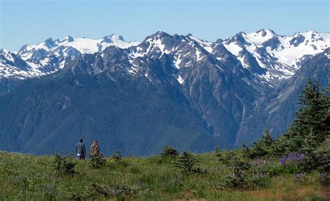 Pacific Northwest national park bucket list: 20 amazing parks around ...