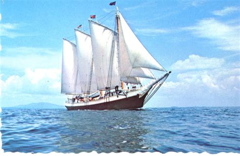 Victory Chimes Schooner MAINE COAST Vintage Postcard – The Townhouse ...