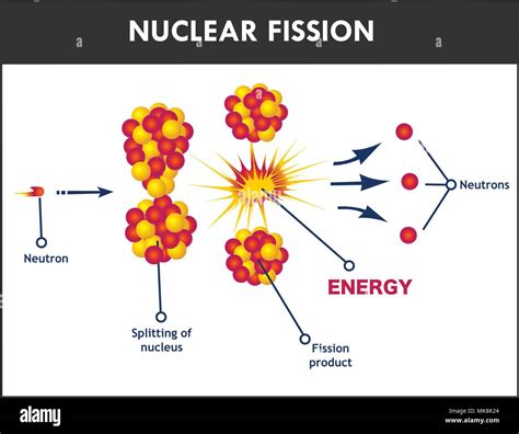 Simple Nuclear Fusion Diagram