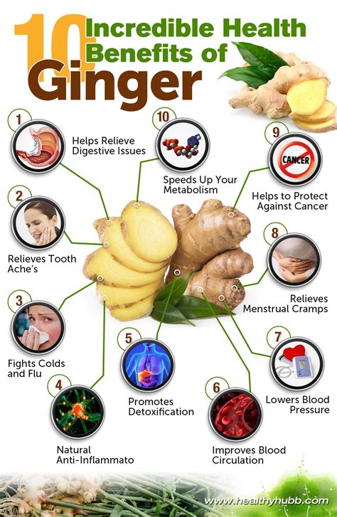 Ginger Juice Nourishing Shampoo Benefits