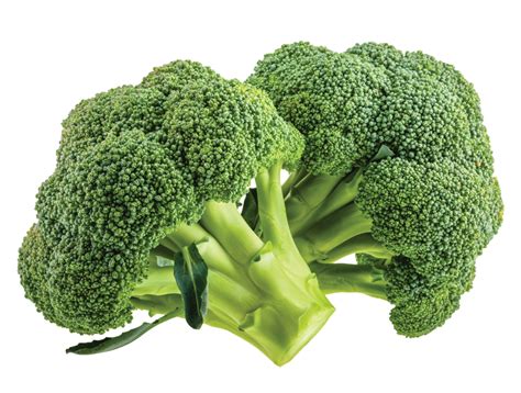 Brocoli | Mambo