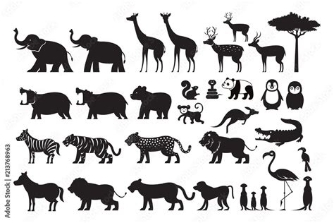 Wild Animals Silhouette Vector Set, Zoo, Safari, Front view and Side ...