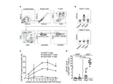 CD154 expression of CD3+ T cells and their subpopulations upon ex vivo ...