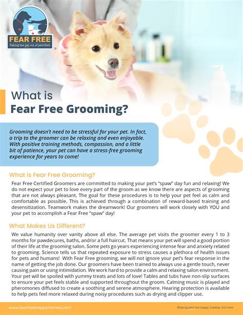 What is Fear Free Grooming - Client Handout