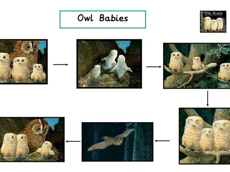 Owl Babies Story map | Teaching Resources