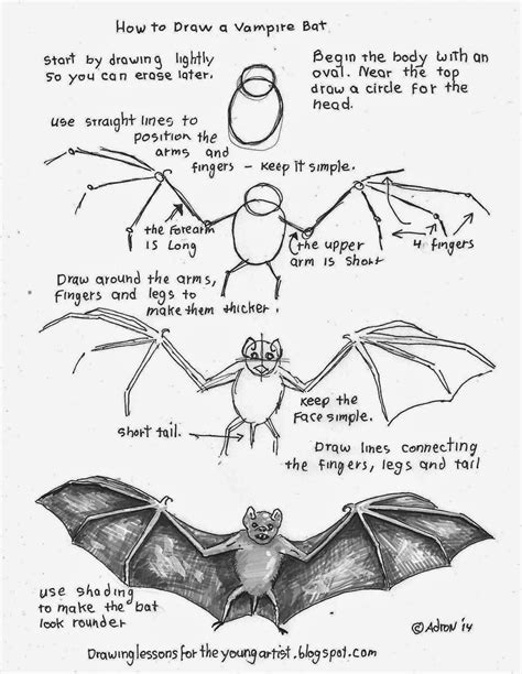 How to Draw Worksheets for The Young Artist: How To Draw a Vampire Bat ...