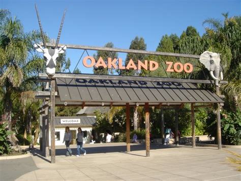 Oakland Zoo - All You Need to Know BEFORE You Go - Updated 2020 (CA ...