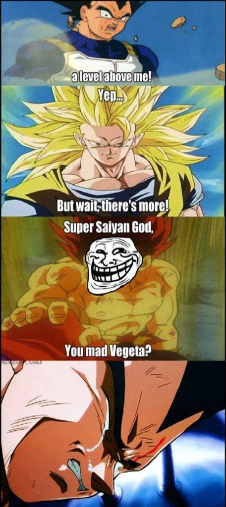 25 Vegeta Memes We Laughed Way Too Hard At