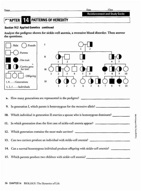 Genetics Pedigree Worksheet Dimples Answer Key - Printable Word Searches