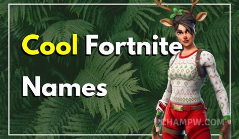 500+ Fortnite Names: Cool, Funny and Unique Ideas - TechyWhale