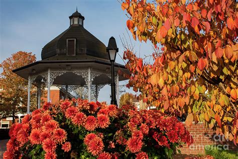 Ligonier Gazebo Framed in Golden Fall Foliage Photograph by Nick ...