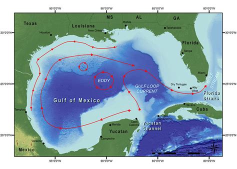 Basic current patterns in the Gulf of Mexico, including the Loop Current.