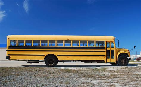 School Bus Side Stock Photos, Pictures & Royalty-Free Images - iStock