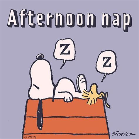 Nap time | Snoopy images, Snoopy funny, Snoopy comics