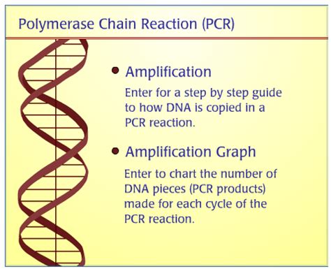 Pcr Animation Download _TOP_