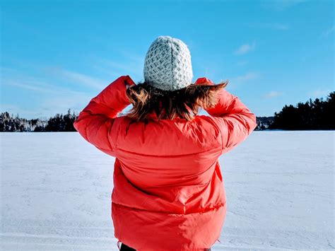 Photo of Snowy Field · Free Stock Photo