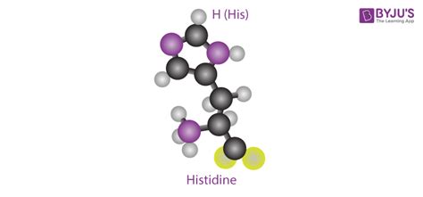 Structure Of Histidine