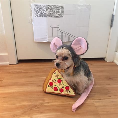 Barkzilla: A Savvy NYC Dog Blog: Pizza Rat Dog Costume!