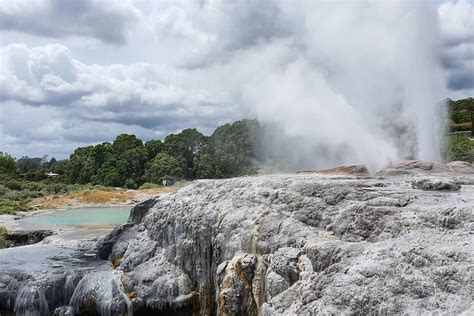 2023 Te Puia Day Pass - Geysers, Mud Pools, Kiwi, Culture, History & more