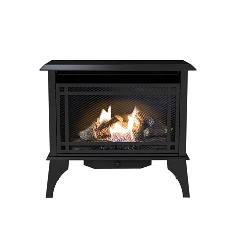 The 8 Best Vented Propane Stove For Heating – Home Life Collection