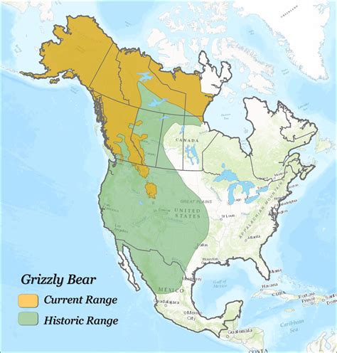 Grizzly Bear Modern V Historic Range : r/megafaunarewilding