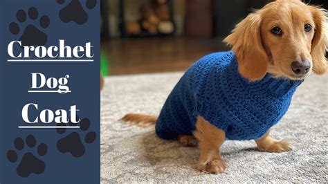 Crochet a Cozy Sweater for your Furry Friend! | Easy Pattern & Tutorial ...