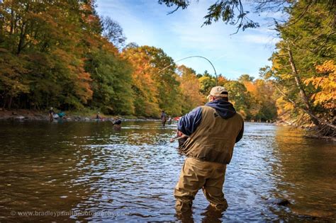 Salmon fishing on Salmon River worth a try Labor Day weekend - syracuse.com