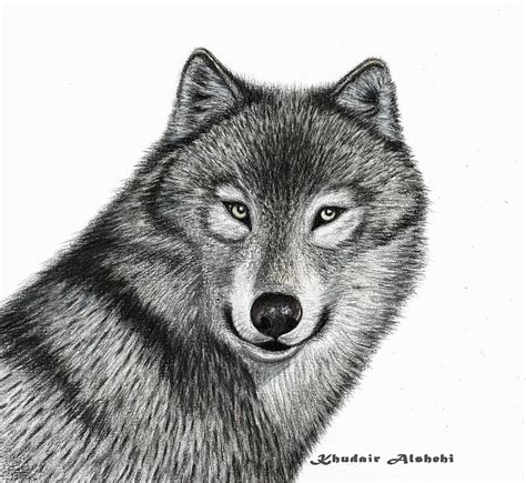 Drawing of a wolf in wood colors Drawing by Khudair Alshehi - Fine Art ...