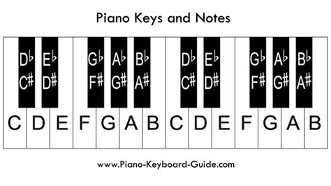 Piano Diagram Beginner Piano Keys Labeled Beginner Piano Piano Notes ...