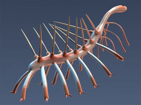 Hallucigenia 3D Model $49 - .max .obj - Free3D