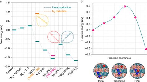 Theoretical calculation results for urea synthesis a, Free energy ...