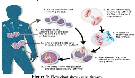 Figure 1 from Application of Gene Therapy towards Treatment of Cancer ...