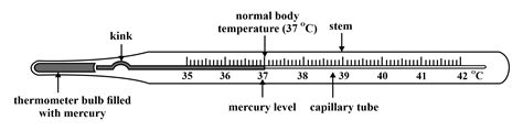 Draw The Diagram Of A Clinical Thermometer And Label Its Parts ...