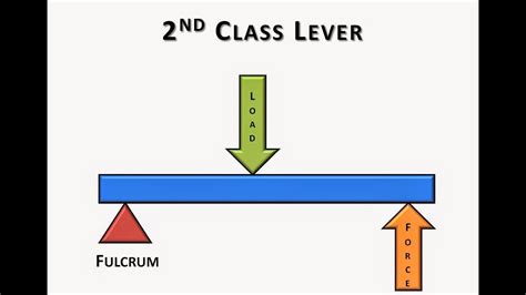 2nd Class Lever Video - YouTube