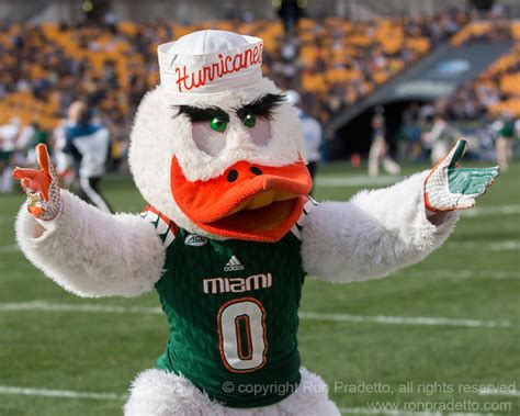 Miami Hurricane mascot | Ron Pradetto Photography