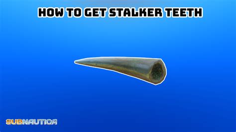 How To Get Stalker Teeth In Subnautica