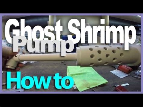 [DIY] How to Make Ghost Shrimp Pump (Sand Shrimp Pump) - YouTube