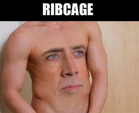 [Image - 626667] | Nicolas Cage | Know Your Meme