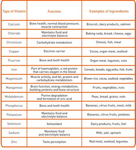 Types of Nutrients and Their Functions