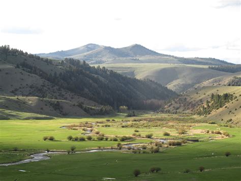 Our beautiful cattle ranch in Montana Montana Ranch, Cattle Ranching ...