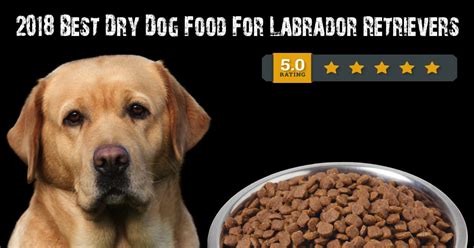 Top 5 Best Dry Dog Food Brands for a Labrador Retriever (2021) | Alpha Paw