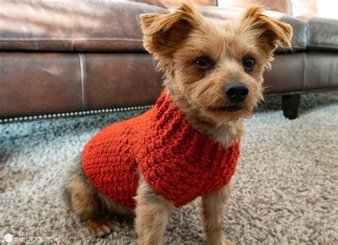 Dandy Dog Sweater: Easy Crochet Dog Sweater Pattern