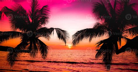 Beautiful sunset on the tropical sea beach.Silhouette of palm trees on ...