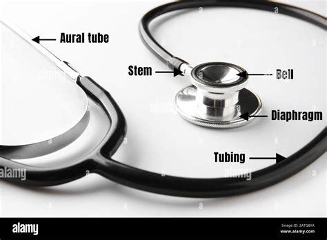 Modern stethoscope with names of particular parts on white background ...