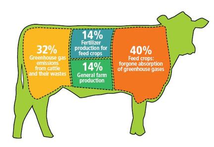 The Triple Whopper Environmental Impact of Global Meat Production