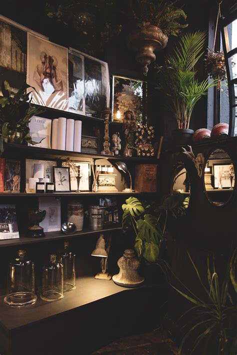 Cosy Corner of the Shop. Dark Interiors, house plants and bookshelves ...