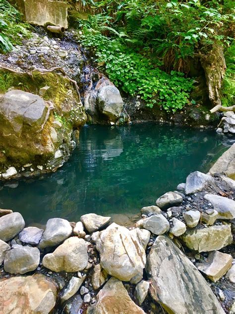 Olympic Hot Springs Trail - Washington | AllTrails | Hot springs ...