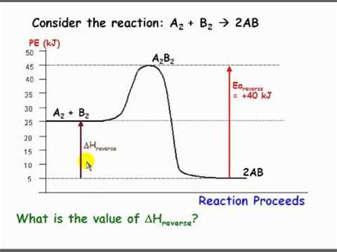 Using Potential Energy Diagrams.flv - YouTube